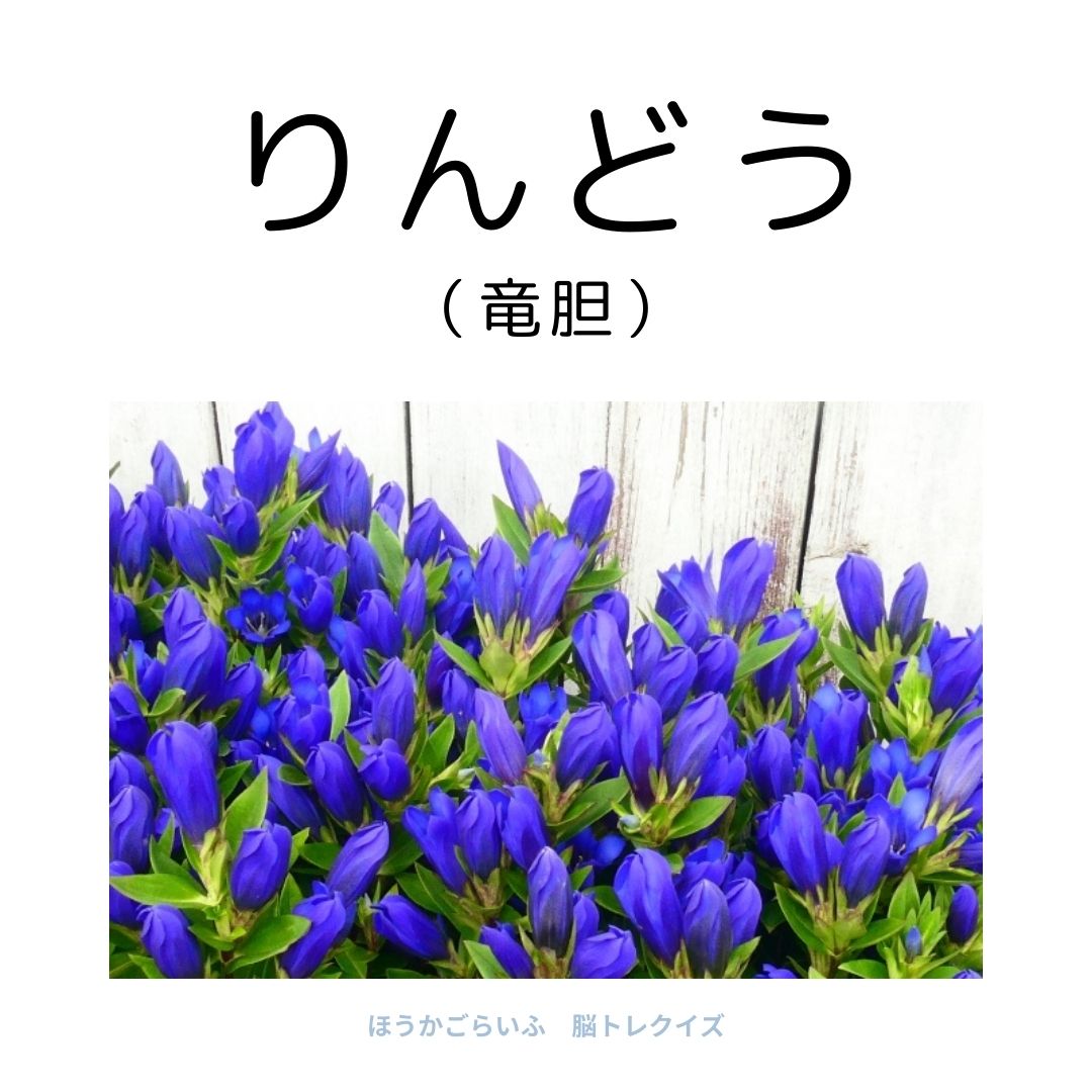 高齢者向け（無料）言葉の並び替えで脳トレしよう！文字（ひらがな）を並び替える簡単なゲーム【花の名前】健康寿命を延ばす鍵